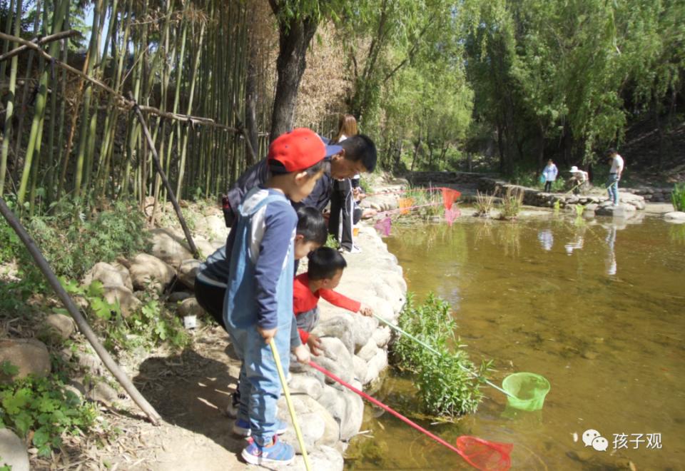 太阳葡萄小镇亲子乐园,亲子游太阳葡萄小镇
