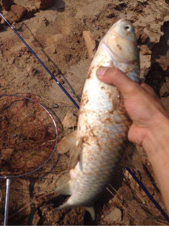 海竿用哪种鱼钩最好钓鱼,海竿什么样的鱼钩最好钓鱼