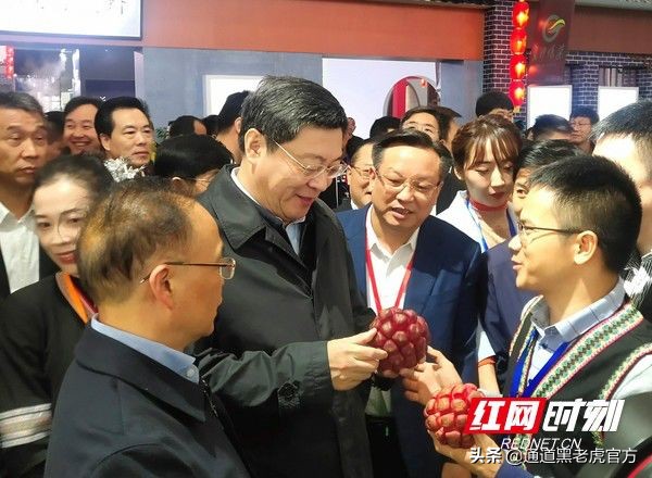 被省委书记惦记的通道小伙,正带村民种山果致富(转载)