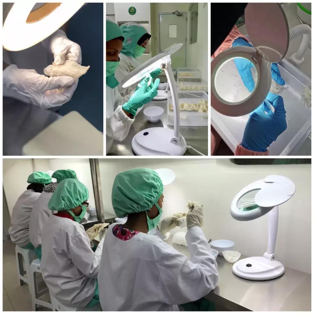 最全的燕窝知识科普,燕窝科普篇