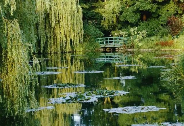 莫奈的画艺术解析,莫奈的艺术成就