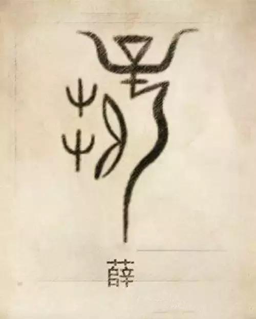 中国100个姓氏图腾,姓氏祖先图腾徐