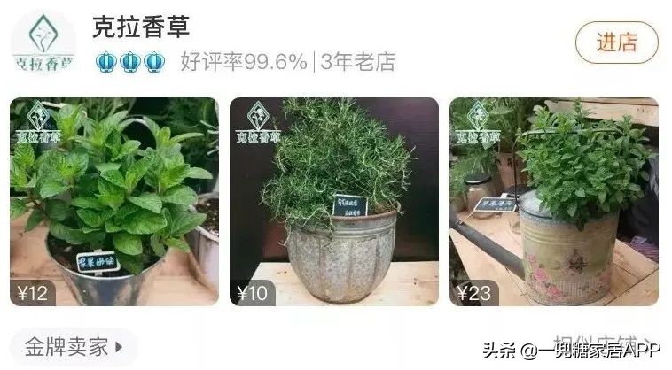 春天花会开|这20家植物淘宝店，植物杀手看了也想买！