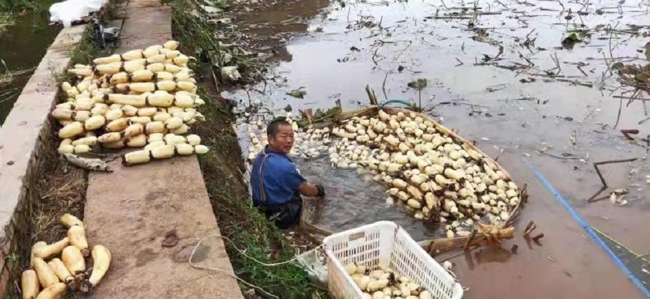 重庆铜梁区未来发展,重庆铜梁未来的发展