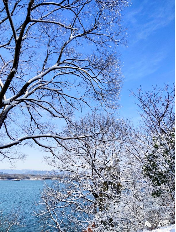 替你“打卡”!疫情中的光山雪景