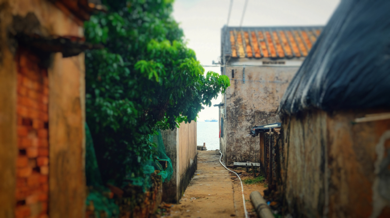 广东湛江旅游攻略赶海,湛江海边旅游攻略推荐地方