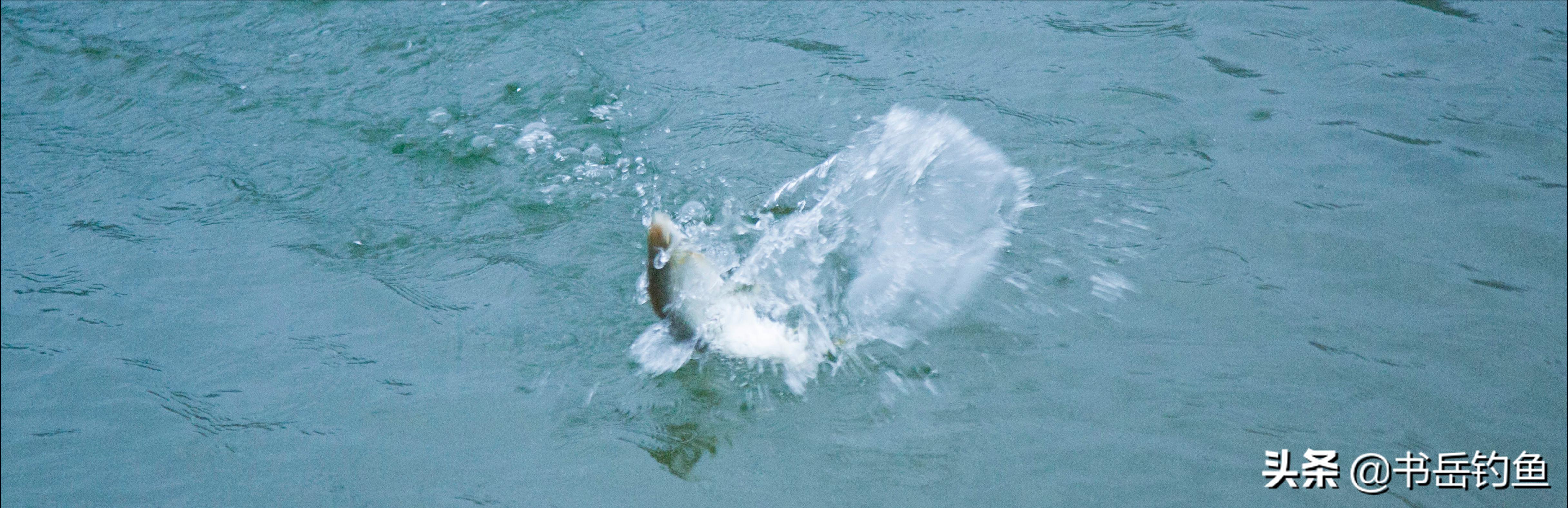 春季钓鲫鱼选什么长度的鱼竿,夏季野钓鲫鱼竿长度怎么选
