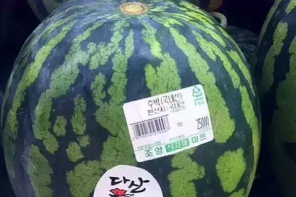 韩国购物买东西,韩国购物多少钱