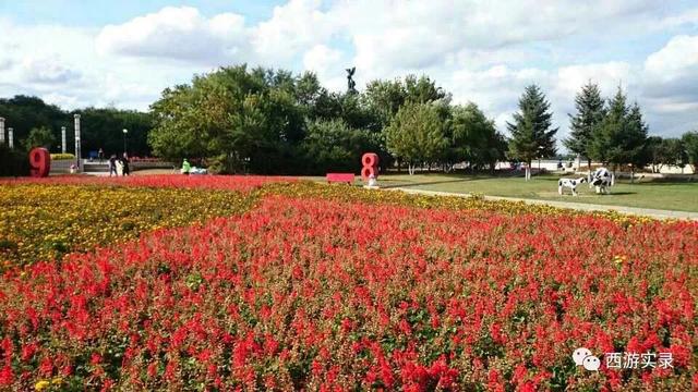 旅行自驾环球,中国人自驾环球旅行