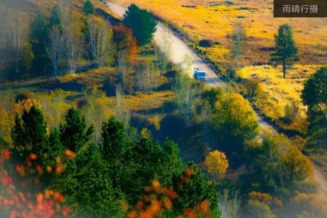 解读谜一样的大兴安岭，触手可及却又掩着神秘的面纱不肯轻易示人