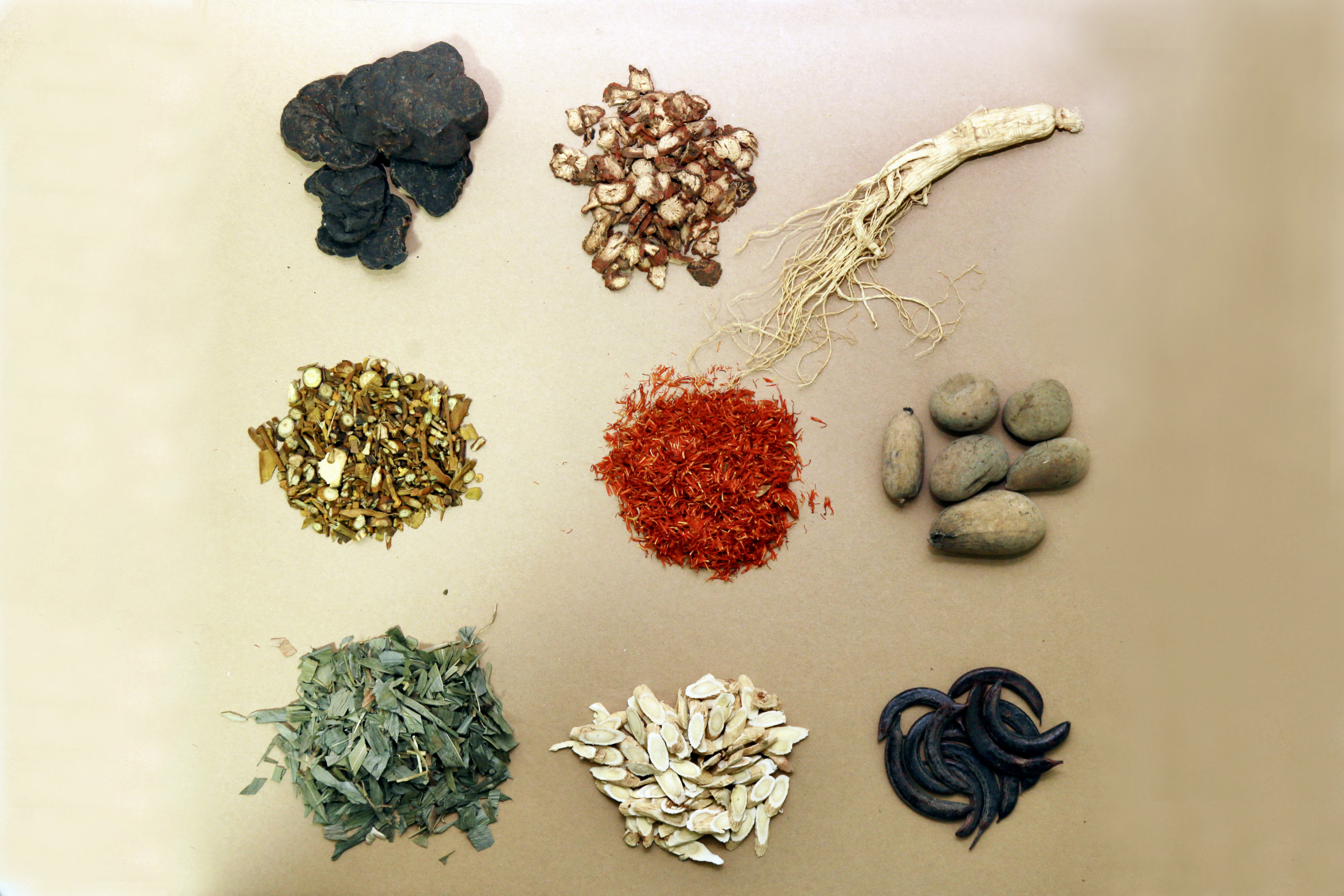 付小珍的秘方大全,付小珍养发育发