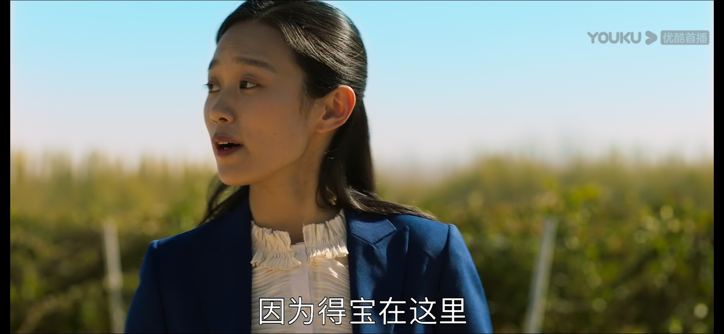 山海情麦苗和得宝有没有在一起,山海情里得宝和麦苗在一起了吗