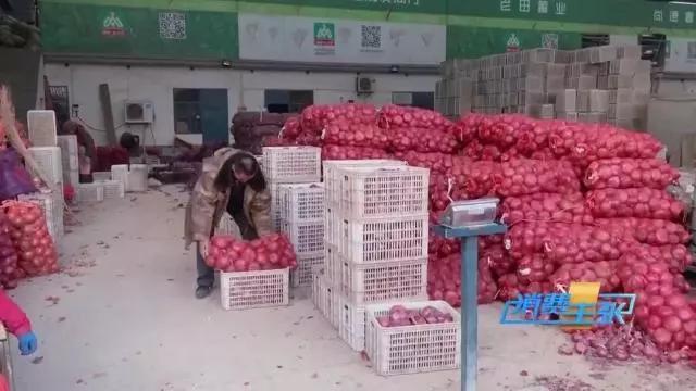 印度疫情对我国洋葱价格影响,印度洋葱涨价