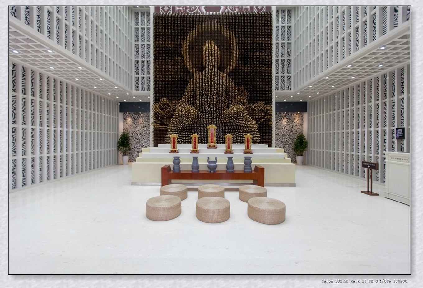 常州旅游东方盐湖城,骆驼之旅视频