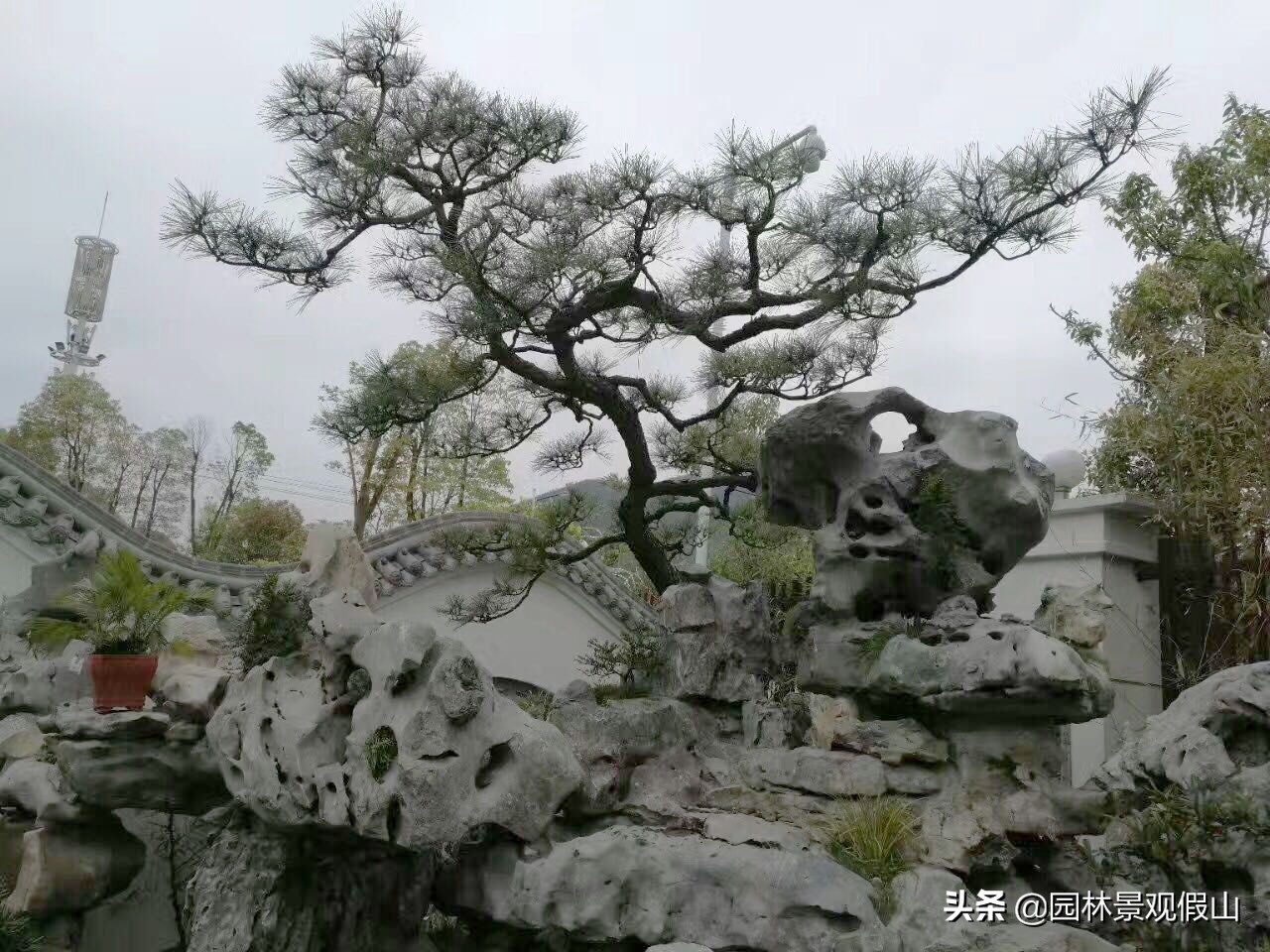 为何庭院中要建假山流水景观,庭院假山流水设计在什么地方好