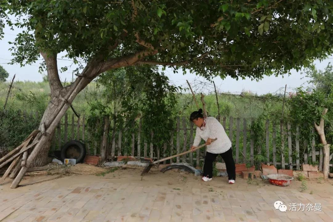 奈曼扶贫一点通,奈曼百企帮百村扶贫