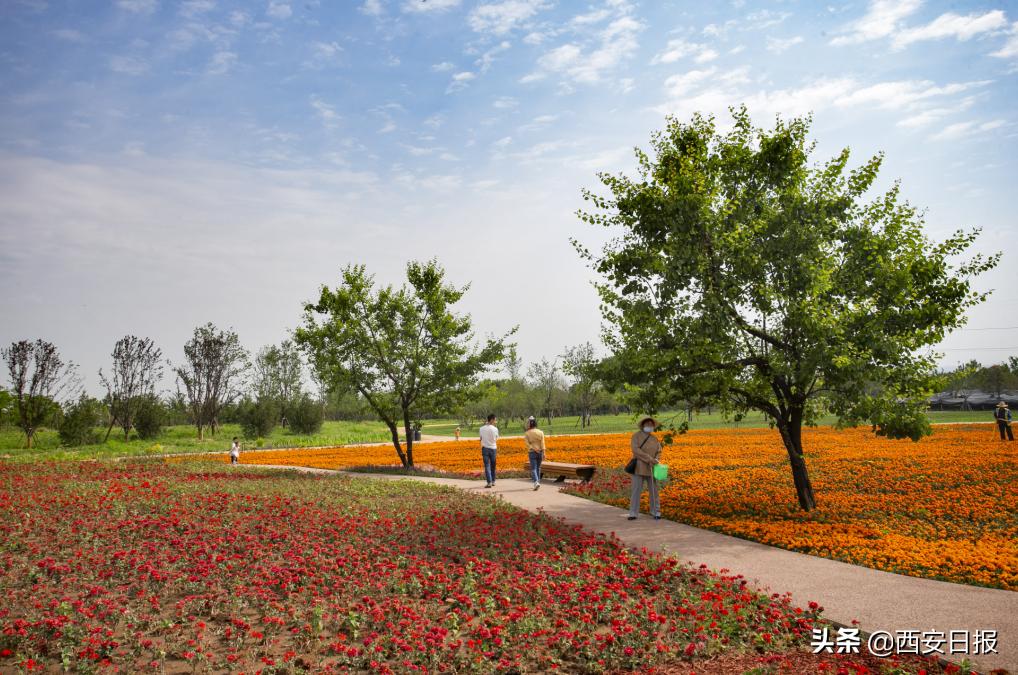 西安公园开放通知最新,西安附近公园免费景点