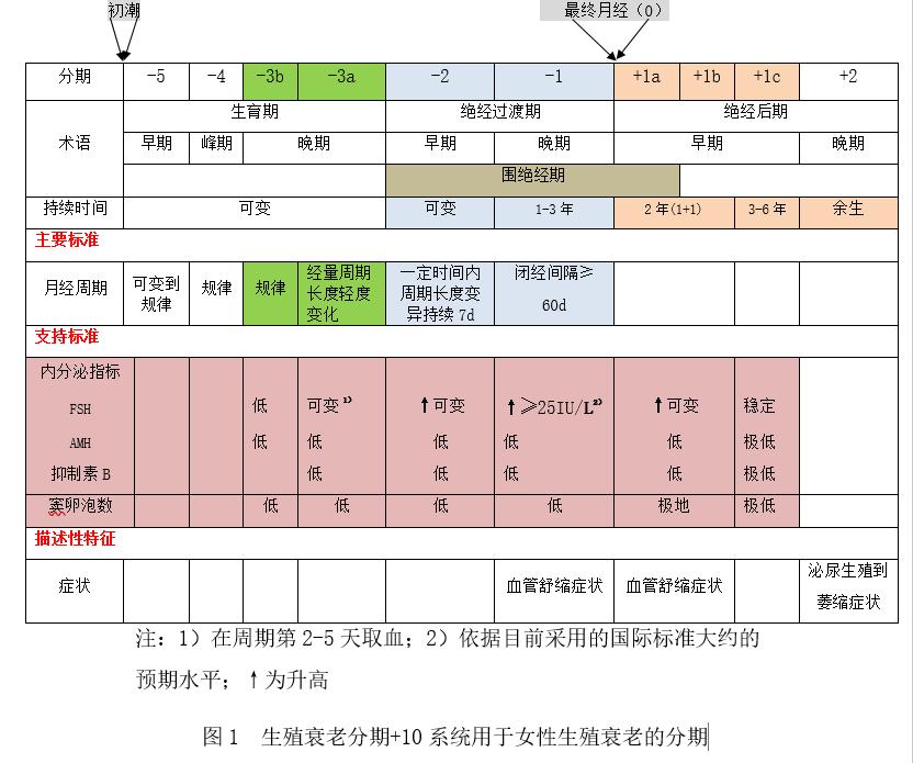 绝经后女性更应关注心血管健康,绝经对身心健康的危害