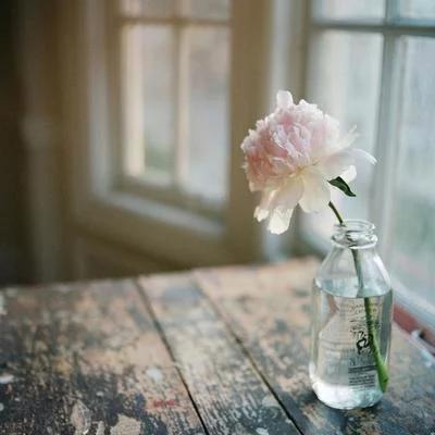 你的名字我不愿再提起,你的名字我不曾忘记