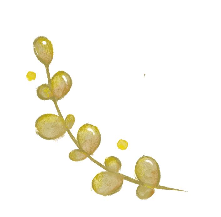 漫步西城|沿着千年时光的脉络,遇见广内~