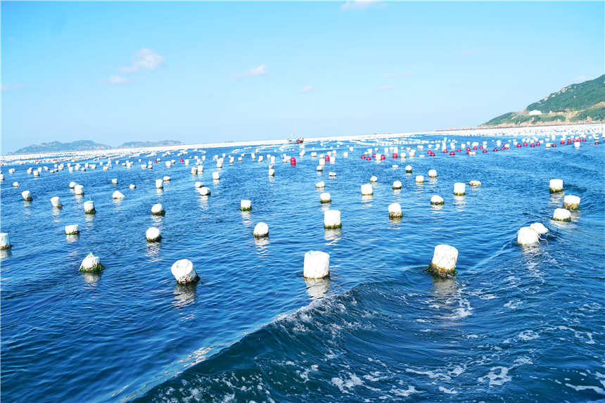 嵊泗列岛海岛推荐,嵊泗岛哪里海景最美