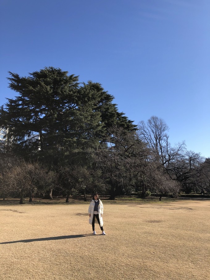 大阪环球影城一天半攻略,东京大阪京旅游攻略