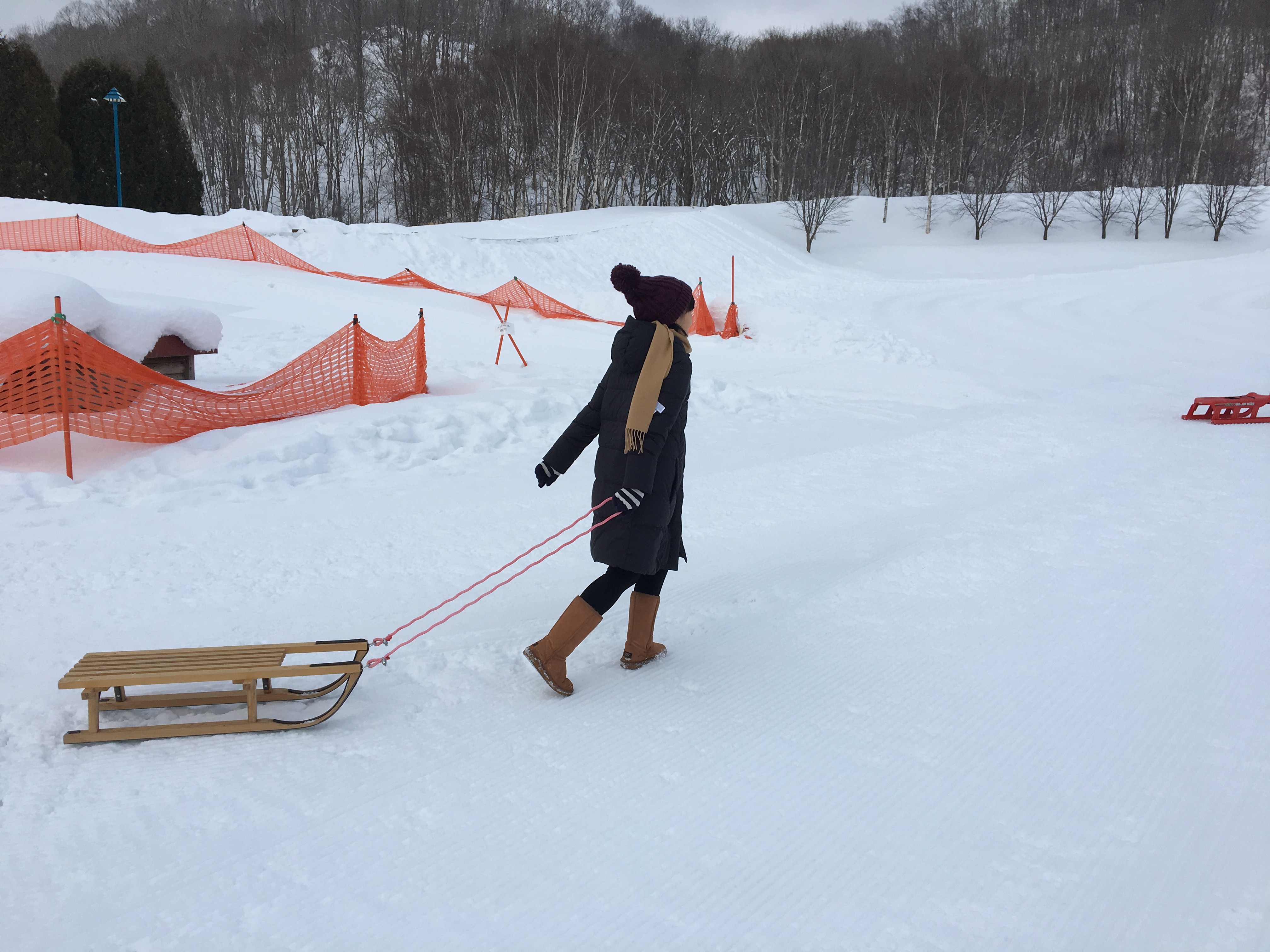 日本北海道印象,印象北海道简介