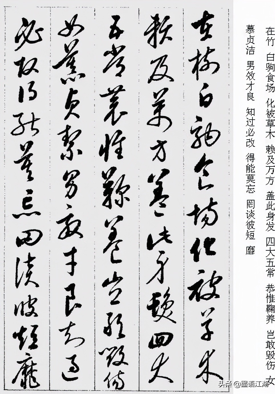 启功《草书千字文》高清字帖,硬笔临启功先生草书千字文4