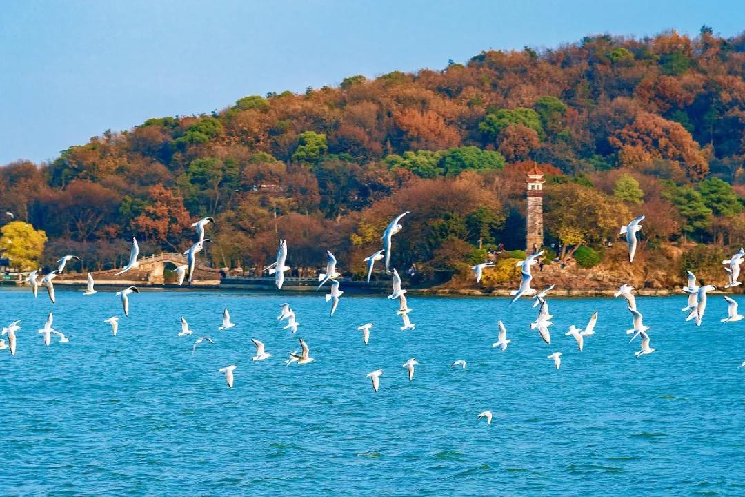 无锡景点推荐最全攻略,无锡必去的免费景点推荐