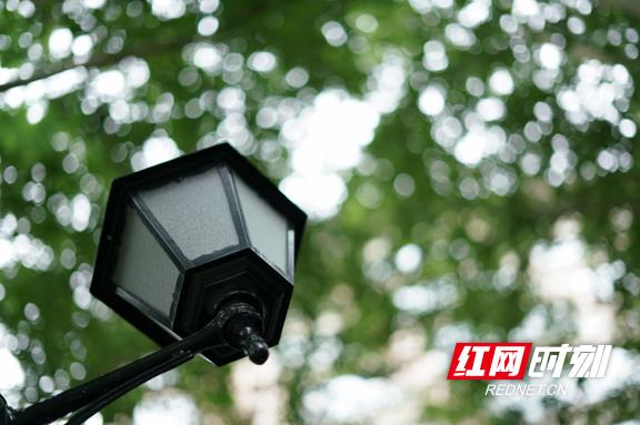 益阳好吃的早餐推荐,益阳人早餐吃什么最好