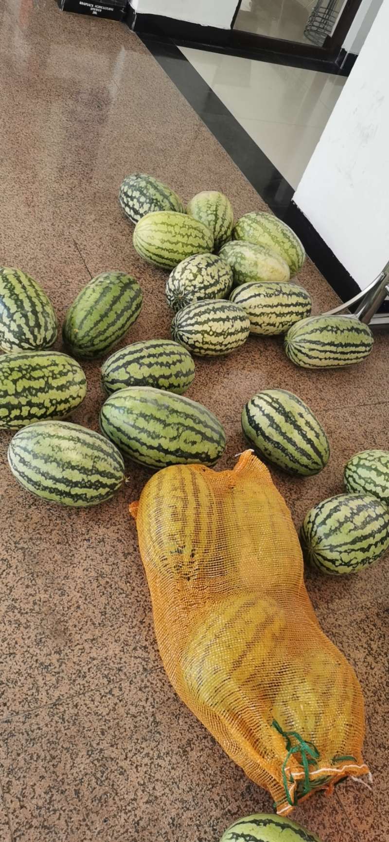 乌鲁木齐“仓盛社区送”爱心水果,情系抗疫一线社区志愿者