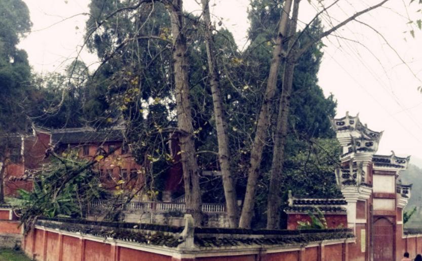 90后法师出家,十三岁出家的九零后僧人