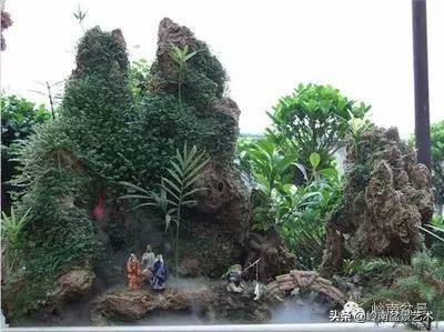 吸水石盆景位置,吸水石盆景教程