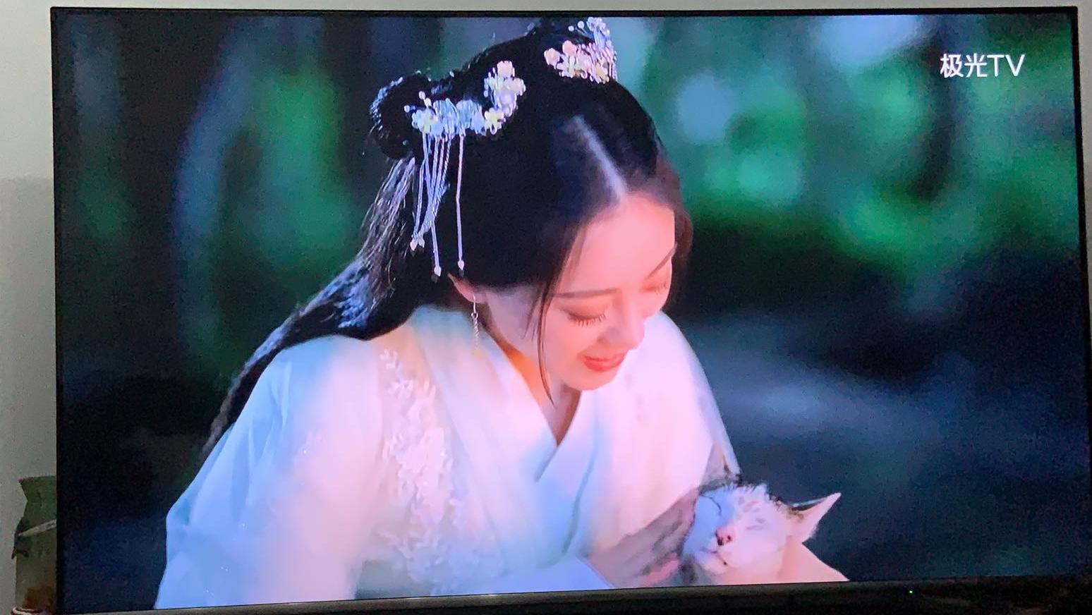 盘点猫咪高能名场面 (猫咪10大最萌镜头)