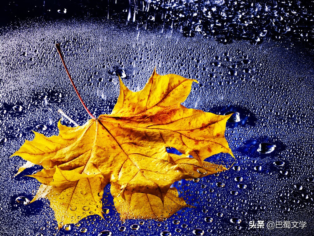 潮湿的诗歌,潮湿的夜晚诗