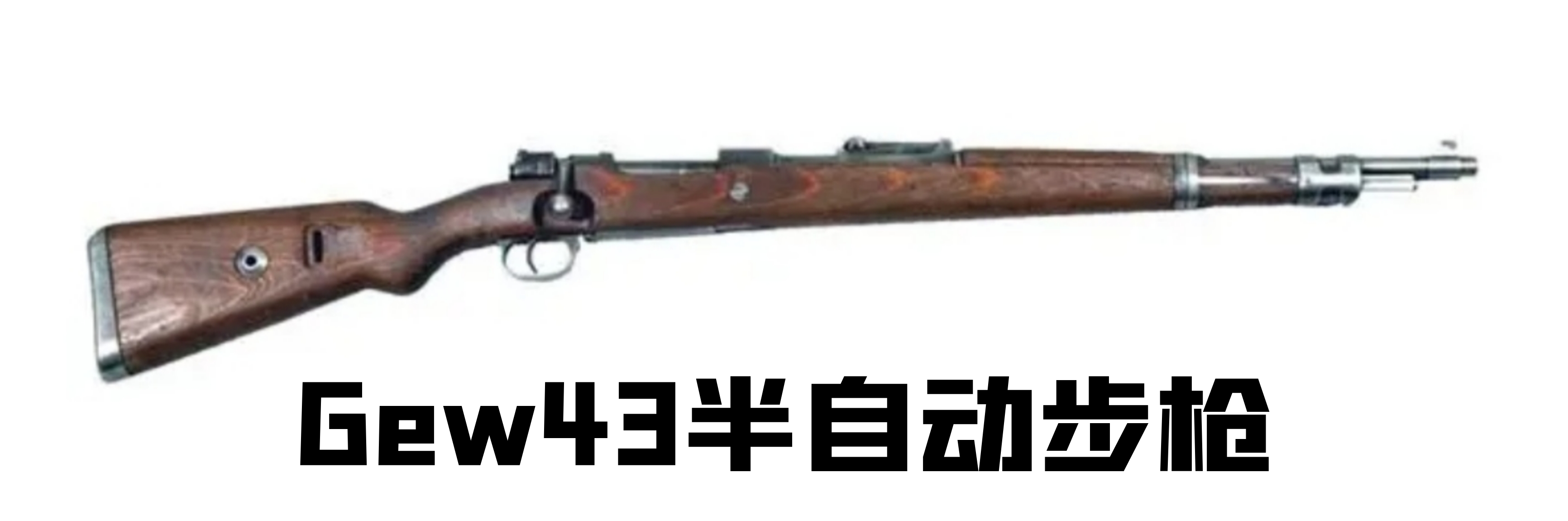 德国1930年的老枪,德国18世纪剑枪图片