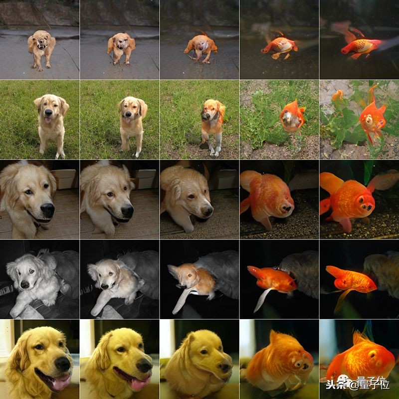 史上最强GAN：训练费10万起，现在免费体验，画风鬼畜又逼真