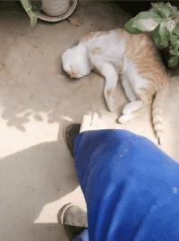 鍔ㄦ极瓒崇悆鎼炵瑧gif绱犳潗,涓浗闃熻涪鐞冩悶绗慻if