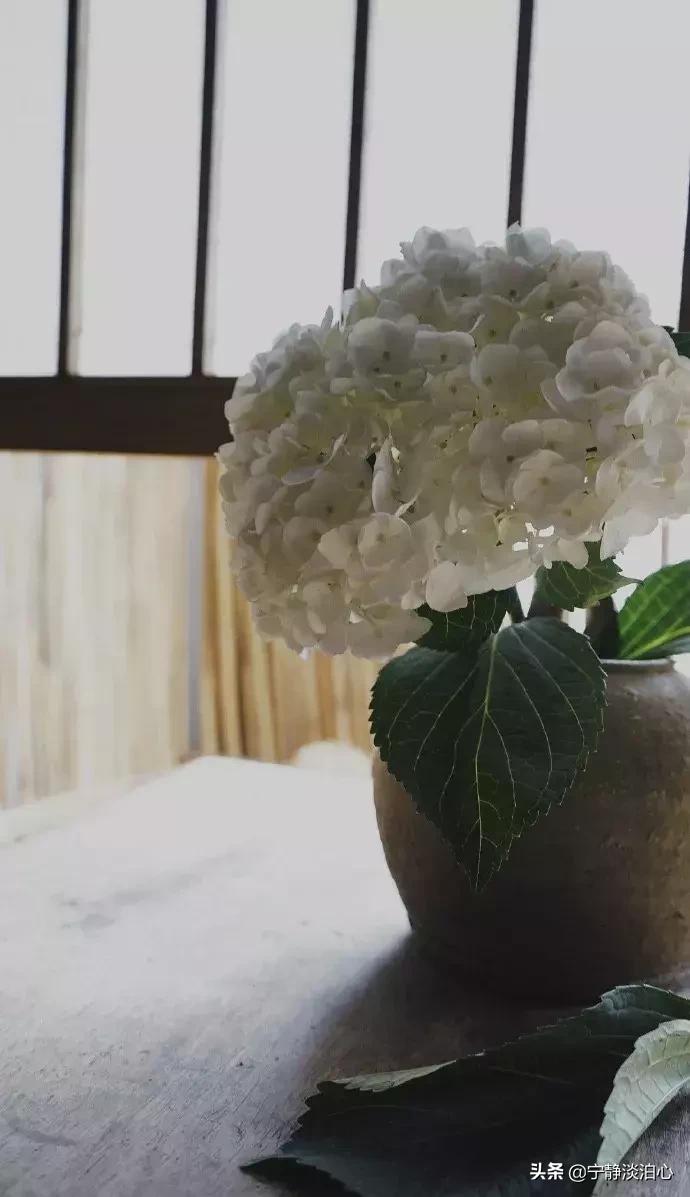 一日慎独则心安日日精进,日日精进人生