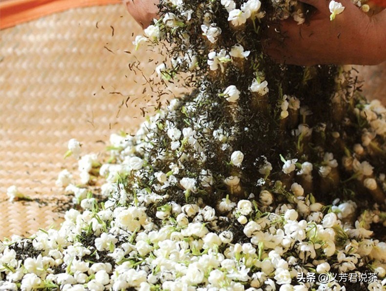 茉莉花茶为什么是低端茶,茶圈鄙视链白茶什么段位