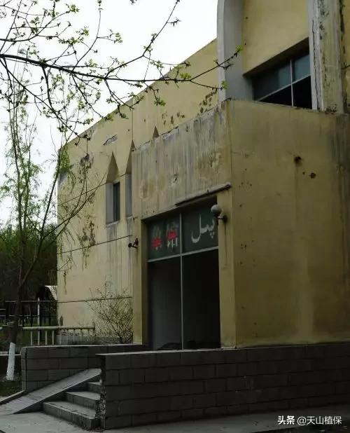 乌鲁木齐90后的南门回忆,乌鲁木齐人民公园记忆