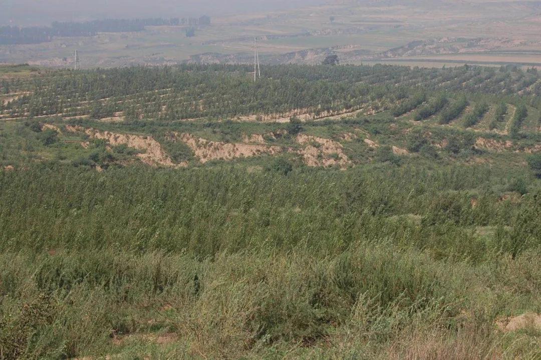 奈曼扶贫一点通,奈曼百企帮百村扶贫