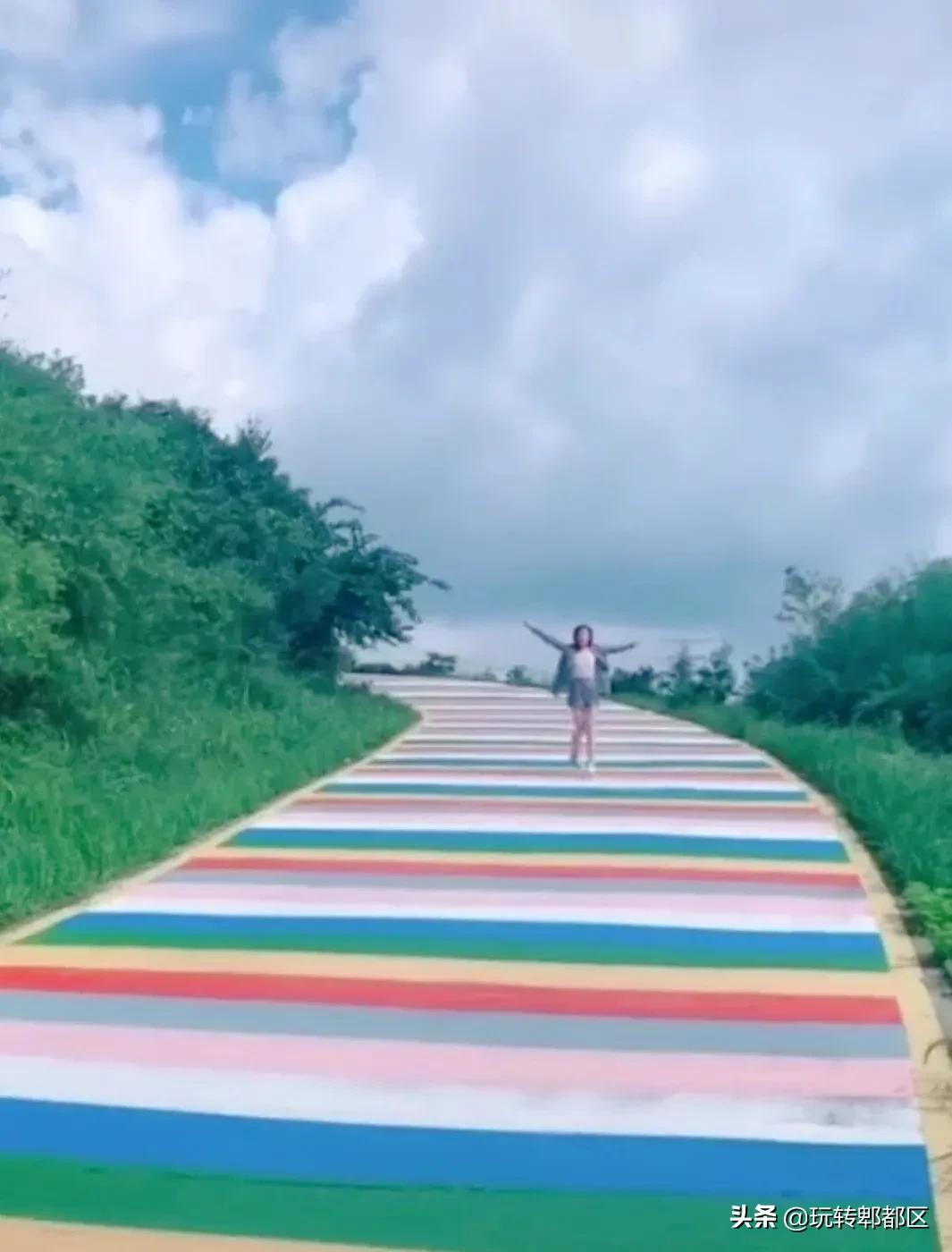 郫都区最美的花海,成都郫都花乡玫瑰开放了吗