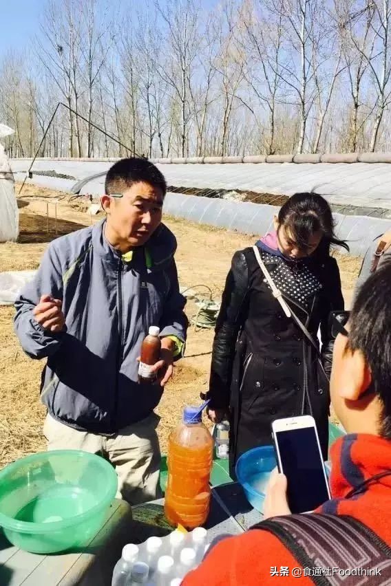 想在自家楼顶种菜,想在阳台种菜用什么花盆好