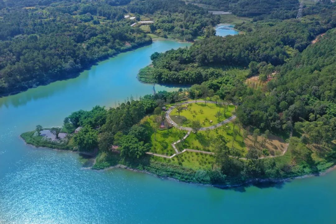 全长240公里的锦江绿道！太震撼了