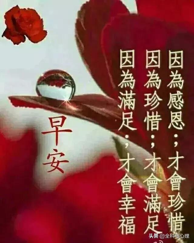 周末快乐早上好表情包,早上好周末愉快动态表情包