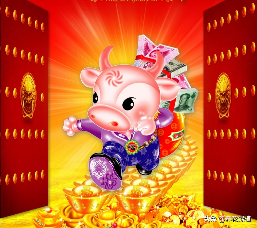 牛年是否从立春开始,牛年是从立春开始还是初一开始