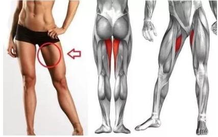 拜拜肉大腿肉怎么减最有效,大腿上的拜拜肉怎么快速减掉