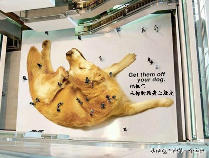 如果广告都拍成这样谁还看连续剧,假如广告都能这样拍