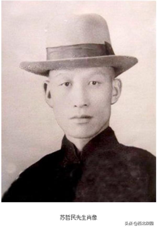 秦腔名人苏哲民,秦腔民间名人唱段